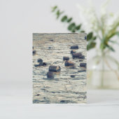 汚染 ポストカード (スタンド正面)