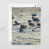 汚染 ポストカード (正面/裏面)