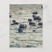 汚染 ポストカード (正面)