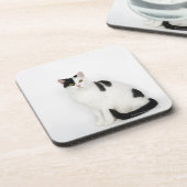汚点を持つ白い猫 コースター (左側)