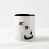 汚点を持つ白い猫 ツートーンマグカップ (中央)
