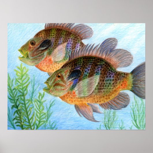 江沢民氏によるアートの受賞歴 – グレード6 ポスター (正面)