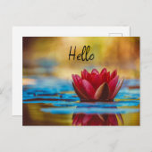 池かわいらしの蓮の花の写真 シーズンポストカード (正面/裏面)