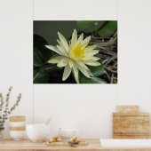 池での一日 ポスター (キッチン)