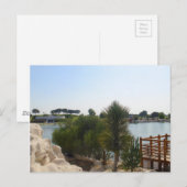 池での美しい一日 ポストカード (正面/裏面)