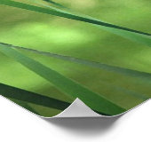 池でカタイル ポスター (角)