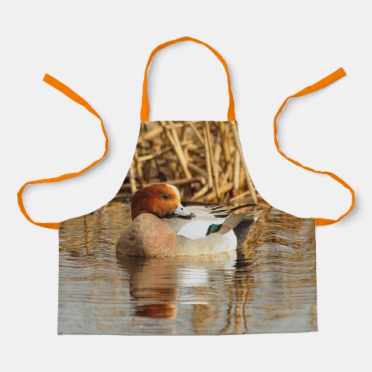 池でハンサムな見知らぬユーラシアのウィゲオンダック エプロン (正面)