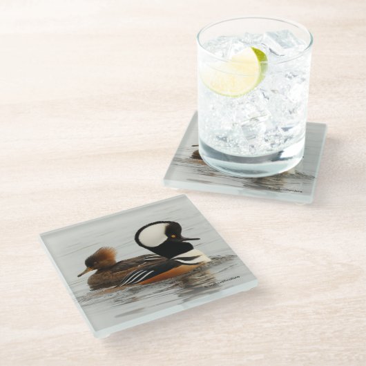 池でパーカーを飼った人魚の集まり ガラスコースター (アングル)