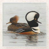 池でパーカーを飼った人魚の集まり ガラスコースター (正面)