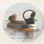 池でパーカーを飼った人魚の集まり コースター (正面)