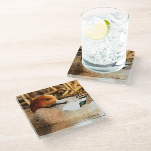 池でユーラシアウィギオンを微笑むコイ ガラスコースター (アングル)