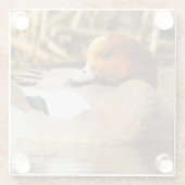 池でユーラシアウィギオンを微笑むコイ ガラスコースター (裏面)