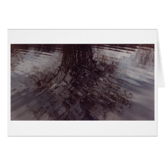 池で交差する波紋