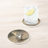 池で水を飲むウズラのヒナ コースター (側面)