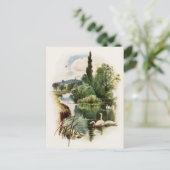 池で泳ぐ白鳥 ポストカード (スタンド正面)