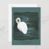 池で白鳥 ポストカード (正面/裏面)