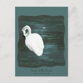 池で白鳥 ポストカード (正面)