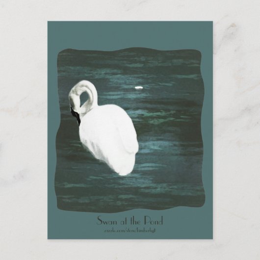池で白鳥 ポストカード (正面)