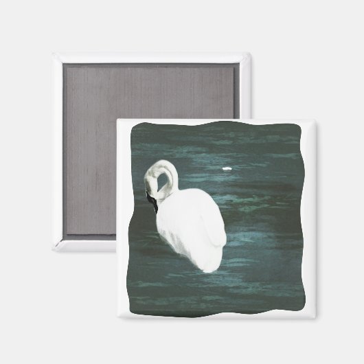 池で白鳥 マグネット (正面/裏面)