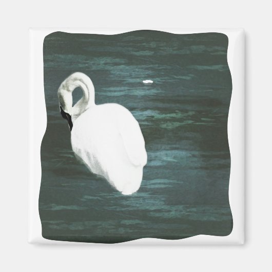 池で白鳥 マグネット (正面)