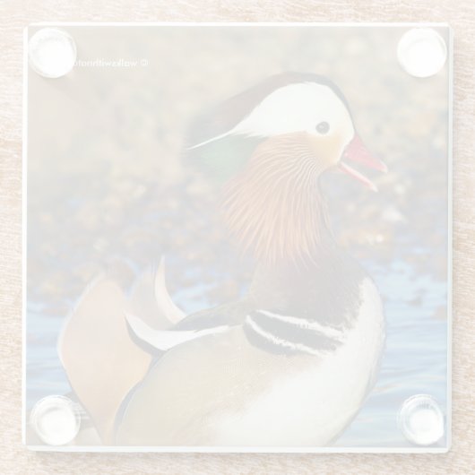 池で美しいおしゃべりのみかん ガラスコースター (裏面)