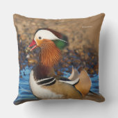 池で美しいおしゃべりのみかん クッション (裏面)