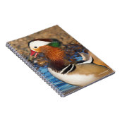 池で美しいおしゃべりのみかん ノートブック (右側)