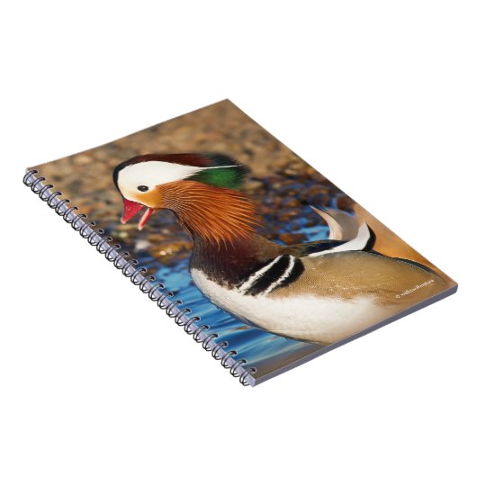 池で美しいおしゃべりのみかん ノートブック (右側)