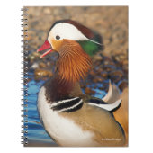 池で美しいおしゃべりのみかん ノートブック (正面)