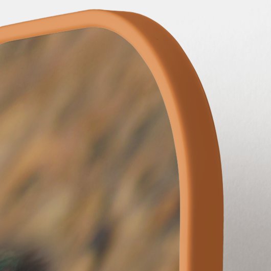 池で美しいおしゃべりのみかん ピックルボールラケット (左詳細)