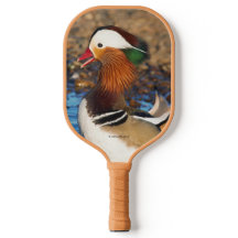 池で美しいおしゃべりのみかん