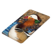 池で美しいおしゃべりのみかん マグネット (左側)