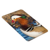 池で美しいおしゃべりのみかん マグネット (右側)