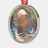 池で美しいおしゃべりのみかん メタルオーナメント (左)