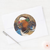 池で美しいおしゃべりのみかん ラウンドシール (封筒)