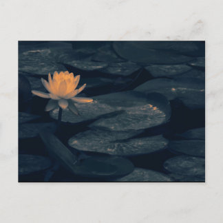 「池で考え込む」 – はがき