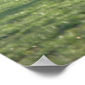 池で釣りをする ポスター (角)