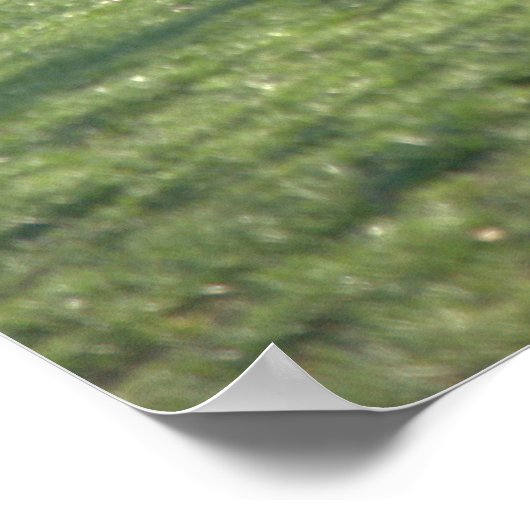 池で釣りをする ポスター (角)