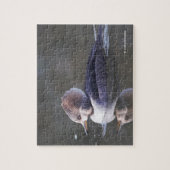 池で頭巾を被った雌鹿の鴨 ジグソーパズル (縦)