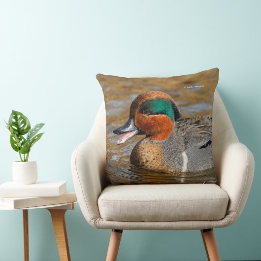 池で鳴き声を上げる緑の羽をしたティール（緑がかった色） クッション (椅子)