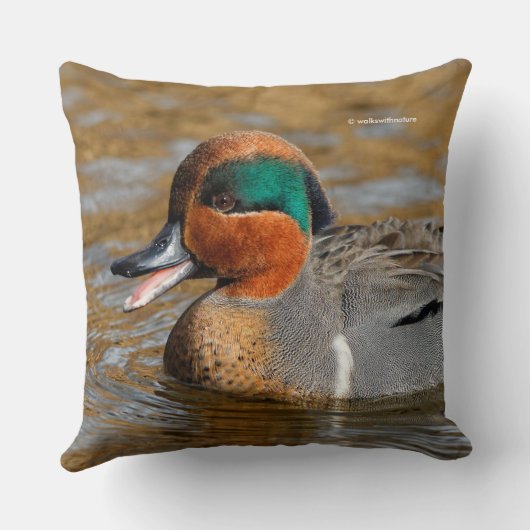 池で鳴き声を上げる緑の羽をしたティール(緑がかった色) クッション (裏面)