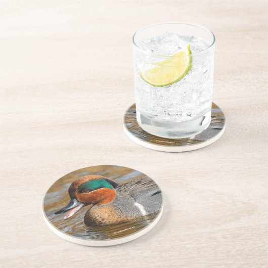 池で鳴き声を上げる緑の羽をしたティール（緑がかった色） コースター (側面)