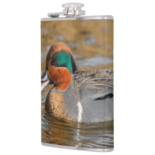 池で鳴き声を上げる緑の羽をしたティール（緑がかった色） フラスク (左)