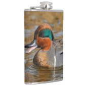 池で鳴き声を上げる緑の羽をしたティール(緑がかった色) フラスク (右)