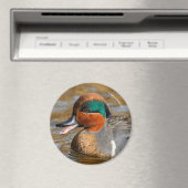 池で鳴き声を上げる緑の羽をしたティール(緑がかった色) マグネット (インサイチュ (食洗機))