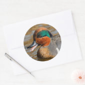 池で鳴き声を上げる緑の羽をしたティール(緑がかった色) ラウンドシール (封筒)