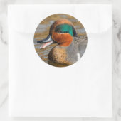 池で鳴き声を上げる緑の羽をしたティール(緑がかった色) ラウンドシール (バッグ)