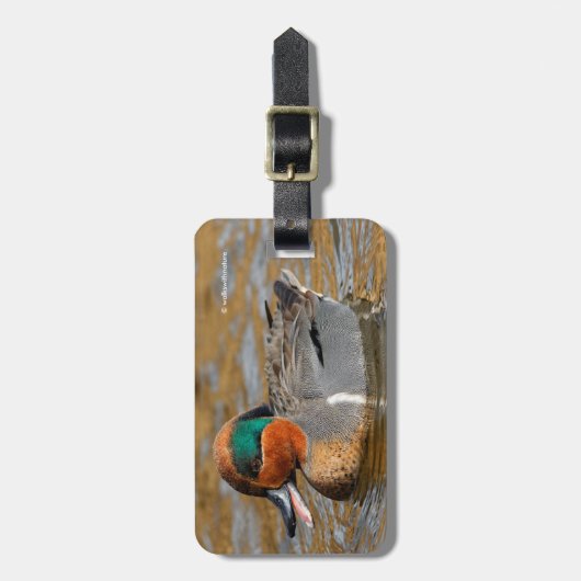 池で鳴き声を上げる緑の羽をしたティール（緑がかった色） ラゲッジタグ (正面縦)