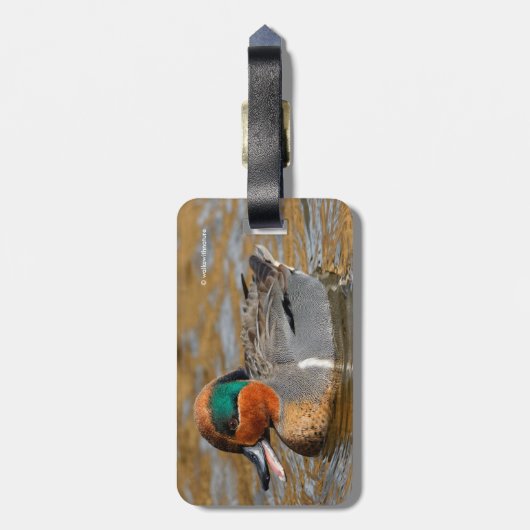 池で鳴き声を上げる緑の羽をしたティール（緑がかった色） ラゲッジタグ (裏面縦)