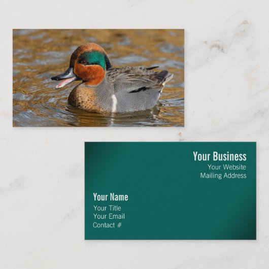 池で鳴き声を上げる緑の羽をしたティール(緑がかった色) 名刺 (正面/裏面)